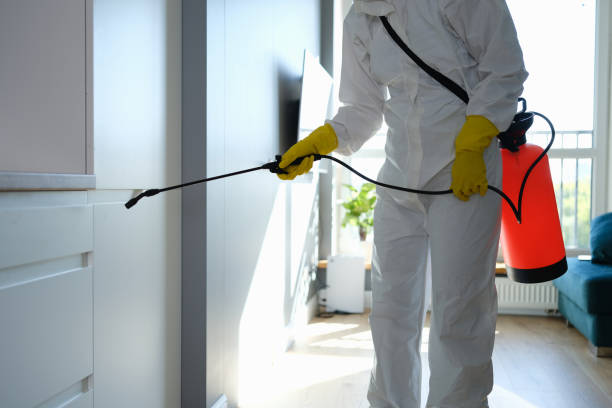 Best Best Mold Removal Companies  in Deerfield, MI