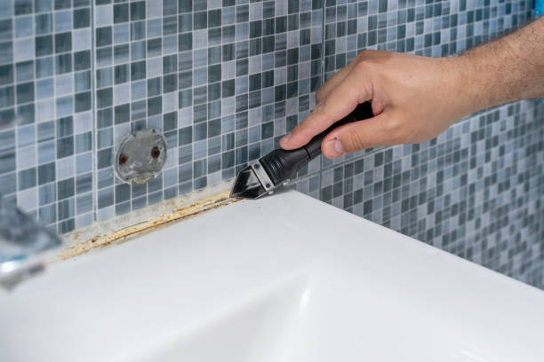 Best Mold Remediation Experts  in Deerfield, MI